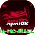 377bra Pro Brasil