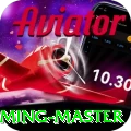 3aa Gaming Master