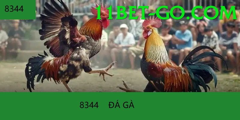 Cách Đọc Kèo Đá Gà - Tạo nhân vật